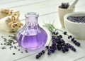 Lavender Tea Benefits – More Than Just a Pretty Flower