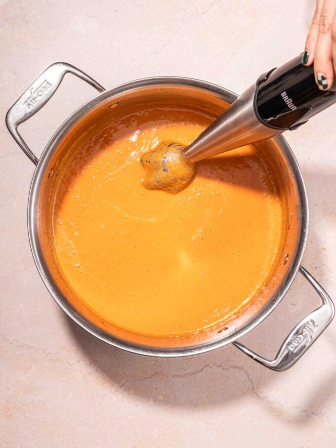 immersion blender in soup pot