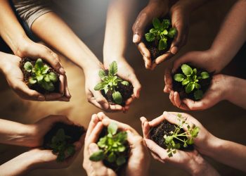 Our Promise of Satisfaction and Respect for the Planet