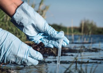 What Is Bioaccumulation?