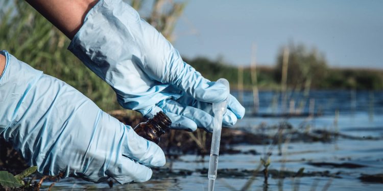 What Is Bioaccumulation?