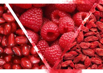 100% PURE Legacy Story: Fruit Pigmented® Natural Makeup