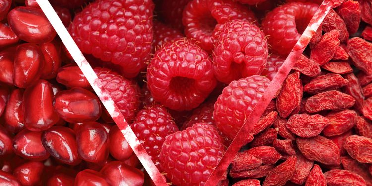 100% PURE Legacy Story: Fruit Pigmented® Natural Makeup