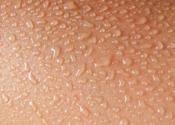 How Does Skin Absorption Work?