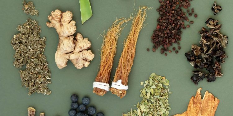 Adaptogens in Skincare