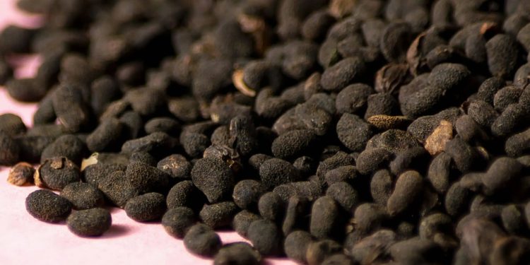 Bakuchiol: Retinol’s Gentle Cousin