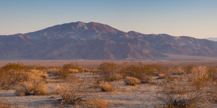 5 Dermatologist Tips for Dry Skin