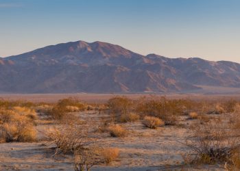 5 Dermatologist Tips for Dry Skin