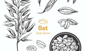 Smile’s Own Nerve Soother Blend