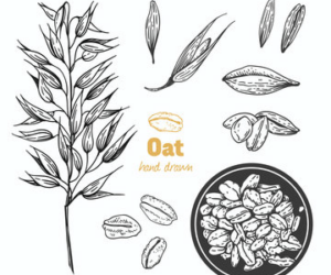 Smile’s Own Nerve Soother Blend