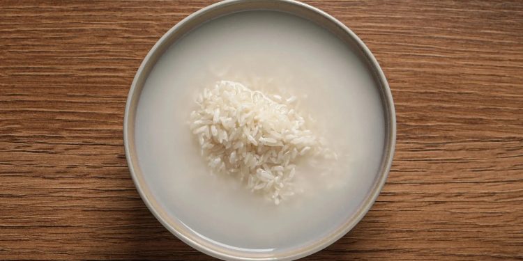 Fermented Ingredients in K-Beauty
