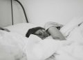 Insomnia Strategies: Helpful Herbs for Sleep