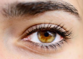 Eye Care 101: Treating Dark Circles, Puffiness, and Fine Lines