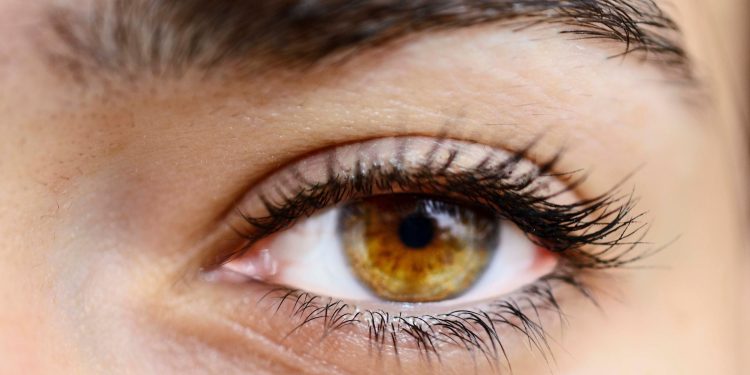 Eye Care 101: Treating Dark Circles, Puffiness, and Fine Lines