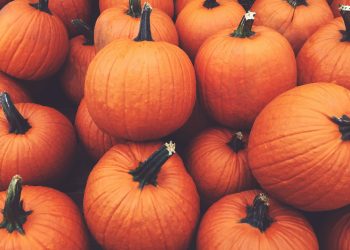 The Best Pumpkin-Infused Skincare Products for Autumn