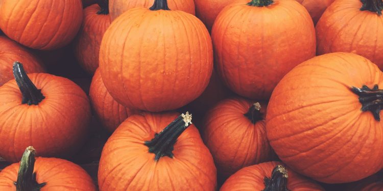 The Best Pumpkin-Infused Skincare Products for Autumn