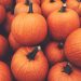 The Best Pumpkin-Infused Skincare Products for Autumn