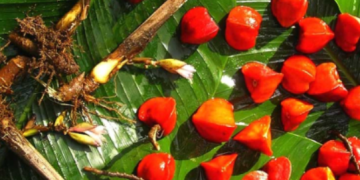 Katemfe: A Non-Calorie Sweetness Without Aftertaste