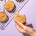 Soft-baked Vegan Snickerdoodles